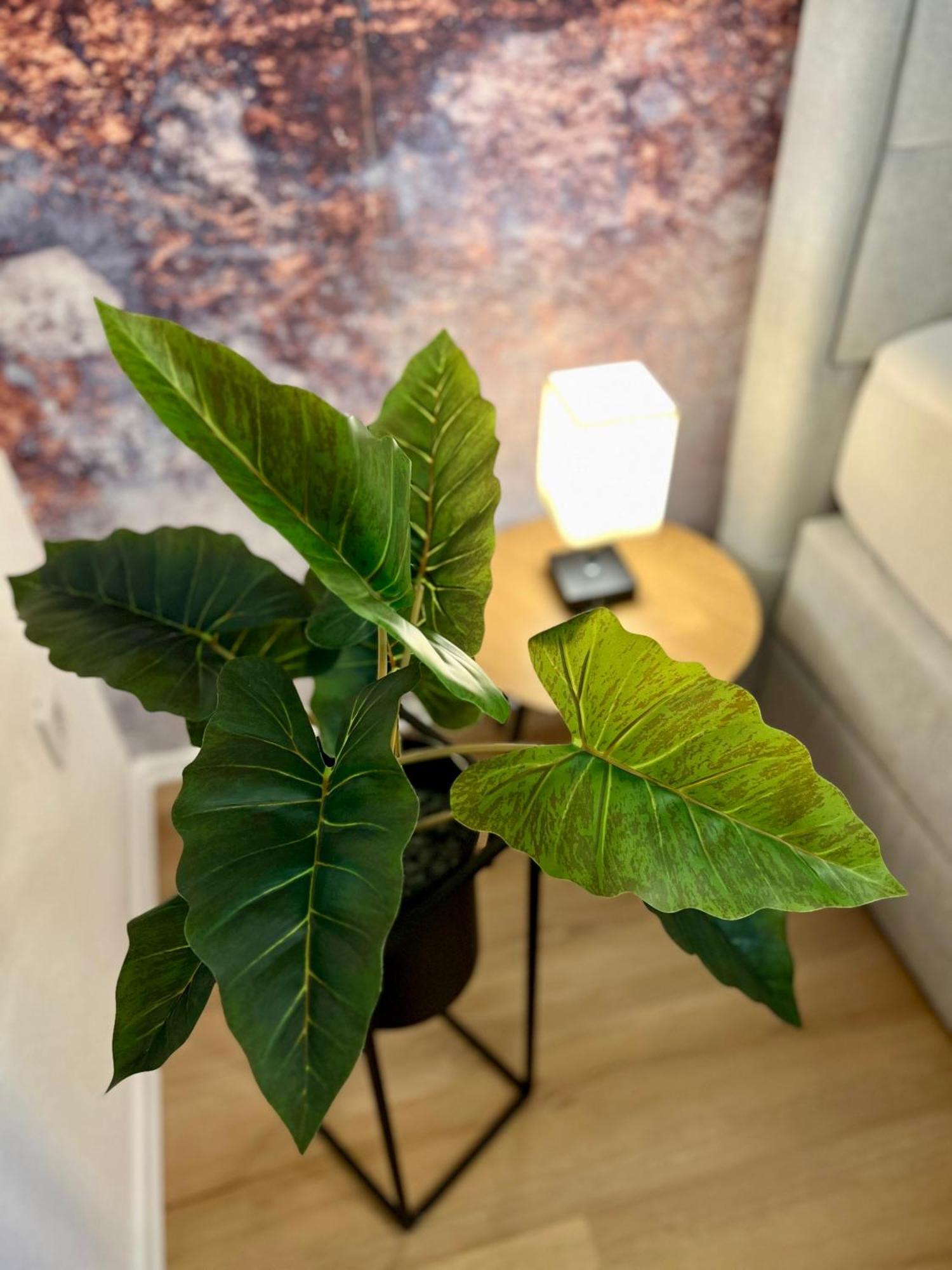 뷔르츠부르크 Main Cozy Casa Am Ringpark Free Parking 아파트 외부 사진